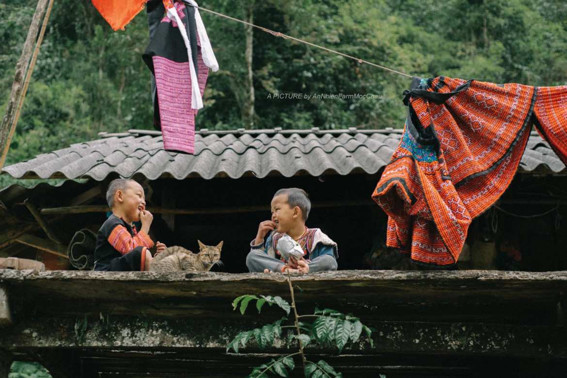 Hmong children innocently play and enjoy their lives in the beautiful nature