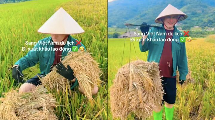Biểu cảm của chú trâu ở Hội An khi khách Tây chạm vào sừng thu hút hàng triệu lượt xem - Ảnh 4.